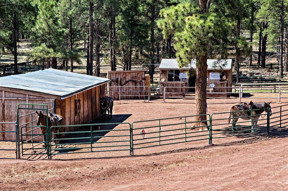 Mountain Ranch Resort At Beacon Hill Williams Esterno foto