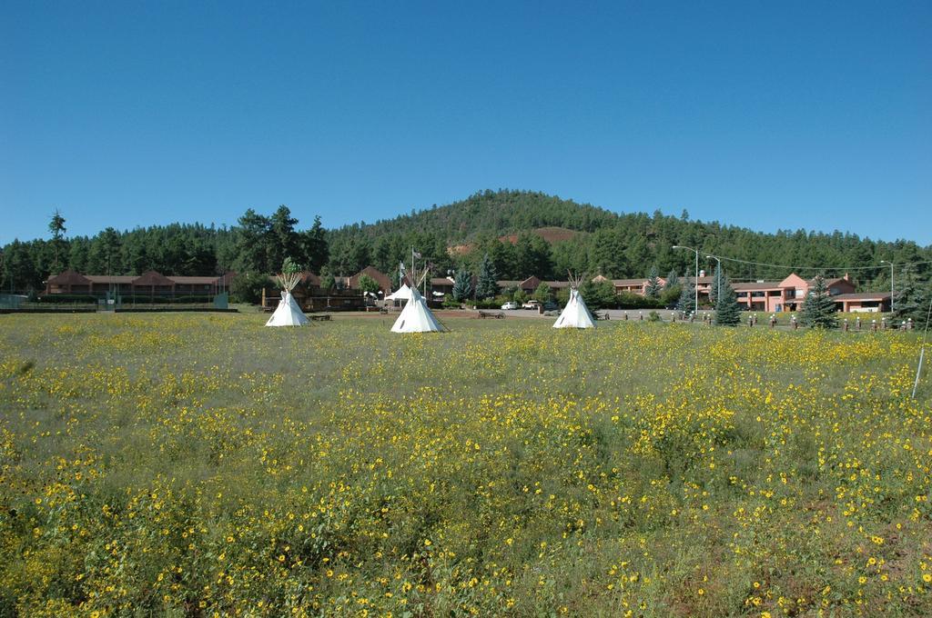 Mountain Ranch Resort At Beacon Hill Williams Esterno foto